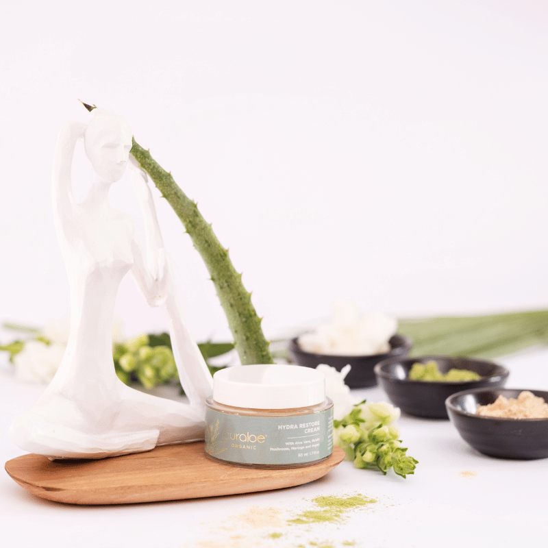 Curaloe Hydra Restore Cream with aloe vera plant on a white background