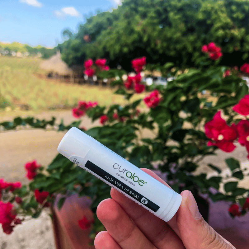 Lip Balm Minty Ultra Rich