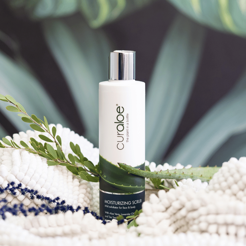 Curaloe moisturizing scrub bottle with green leaves, aloe vera leaf and white beads in the background