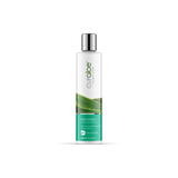 Body Lotion Daily Moisturizing - Curaloe USA and Canada
