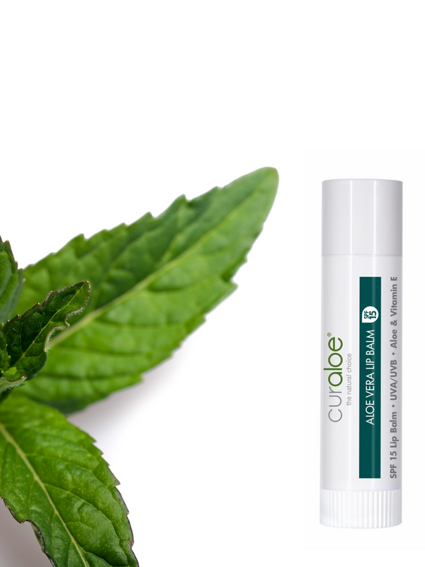 Lip Balm Minty Ultra Rich - Curaloe USA and Canada